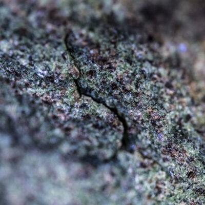 Close up photo of rock, minerals visible