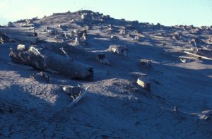 Photo of Mt. St. Helens landscape with ash and dead tree trunks.