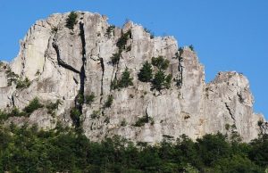 Large white rocks extending far above the tree line.