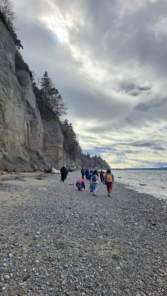 Group of students walking on a rocky beach on a cloudy day with tall cliffs in the background.