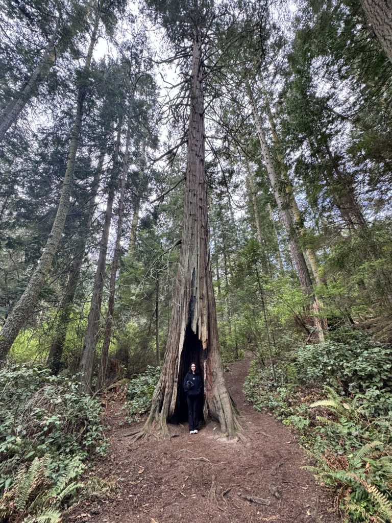 Rosie Ramos standing in a hole in the trunk of a large tree.