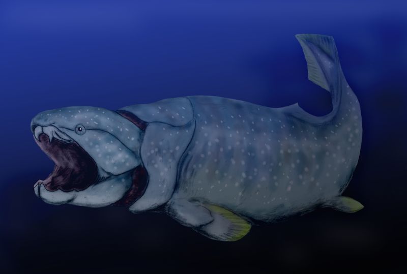 An illustration of a large, jawed fish, reimiscent of early deep-ocean dwellers.