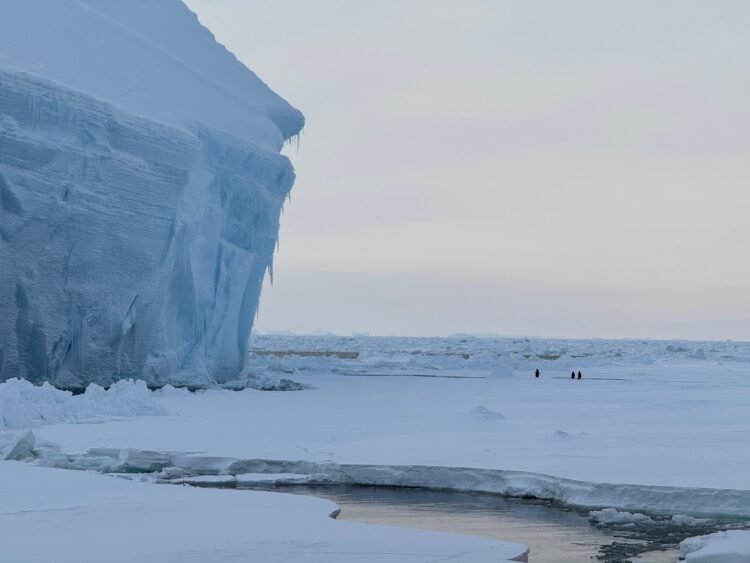 A large wall of ice sits atop the ice-covered surface of west Antarctica. Penguins walk across the surface of the sea ice.
