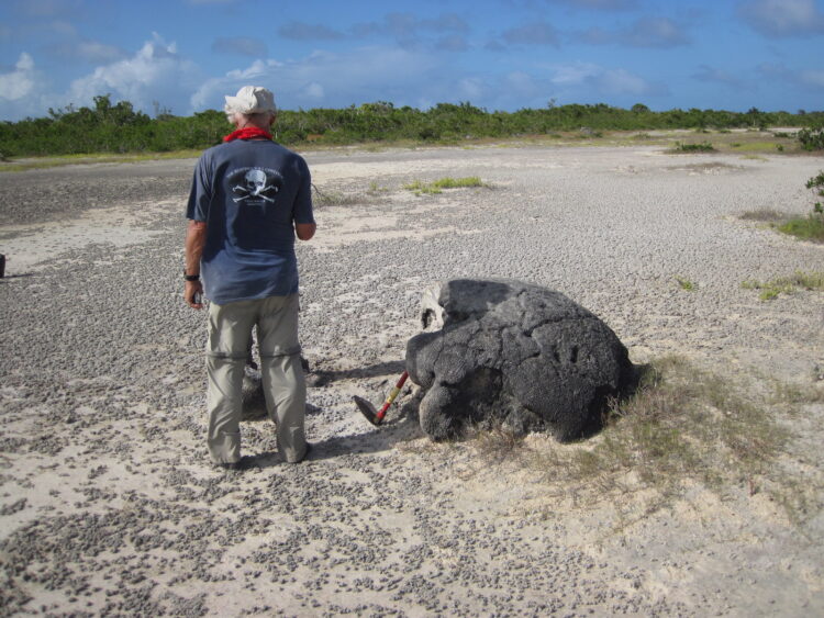 A researcher stands beside a boulder-sized coral on a tropical island.