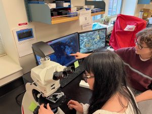 Jewel Wass de Czege and Deven Loska at a microscope looking at thin sections.