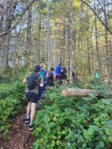 Students and professors hike through a forest.