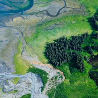 Aerial image of braided river system next to forest of trees.