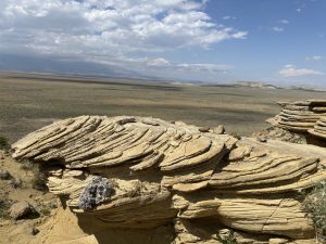 Tan rock layers in Bighorn Basin, Wyoming.